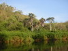 rio_longa (67).JPG
